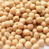 Soya Bean