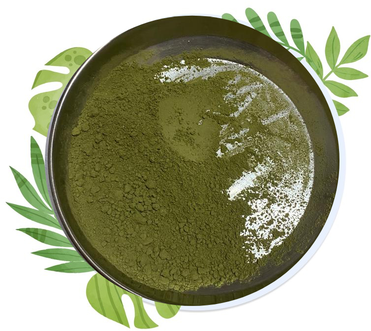 Moringa Leaf Powder