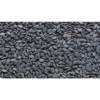 Sortex Natural Sesame Seeds