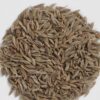 Cumin seeds