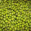 Green Gram (Mung Beans)