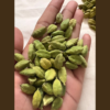 CARDAMOM
