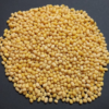Urad Dal