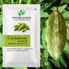 Cardamom Powder