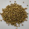 Coriander Seeds