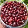 Red Kidney Beans