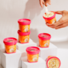 Authentic Kulfi