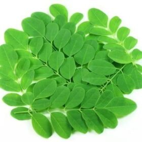 Moringa