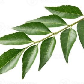Curry Leaf
