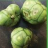 Noni