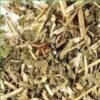 Passiflora Herbs
