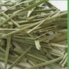 Lemon Grass