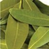 Bay Leaf