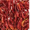Chilli