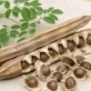 Moringa Seeds